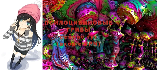 таблы Каменногорск