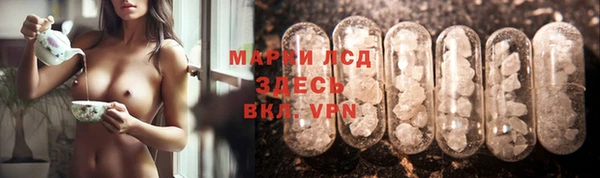 прущие грибы Каменка