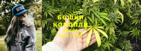 прущие грибы Каменка