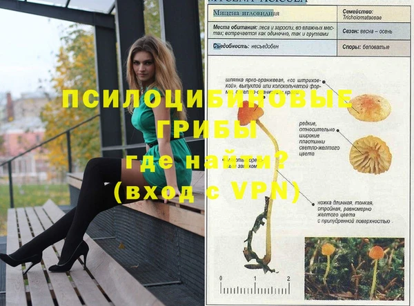 таблы Каменногорск